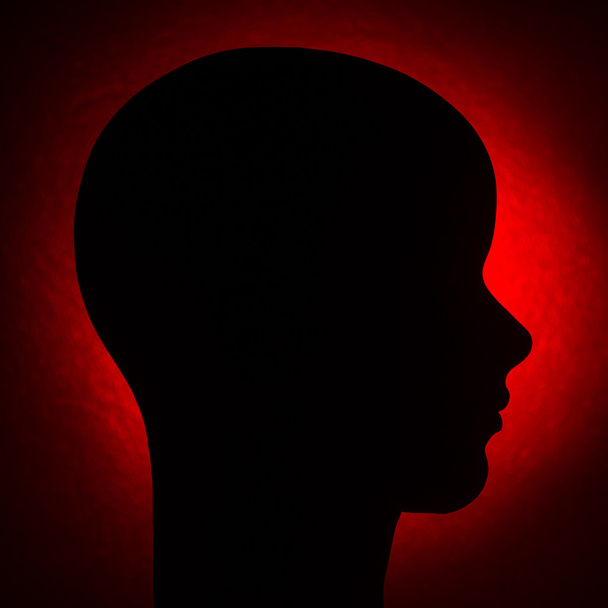vrouwelijke hoofd omtrek - Foto, afbeelding