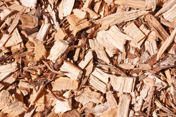 Woodchips full frame - Foto, Bild