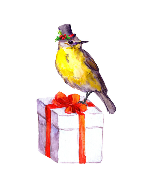 Christmas bird in high hat on present box. Watercolour - Foto, afbeelding