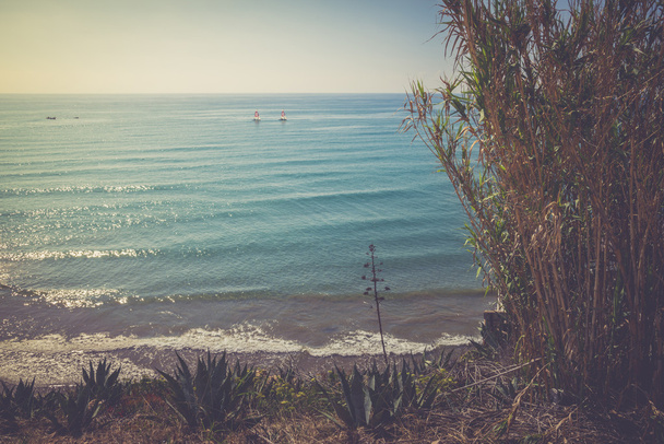 Coast of the Mediterranean Sea - Φωτογραφία, εικόνα