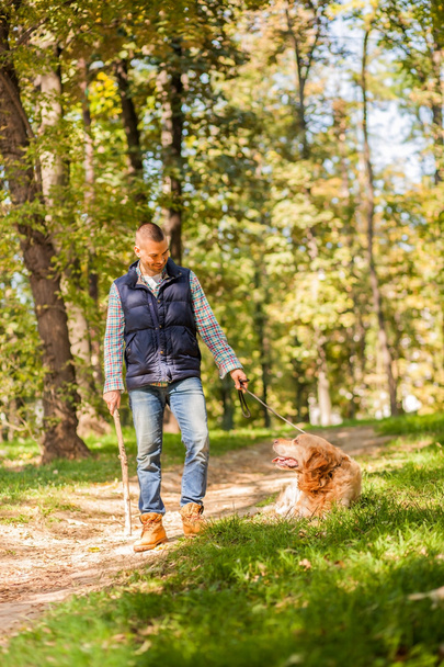 Młody człowiek chodzenia psa w parku  - Zdjęcie, obraz