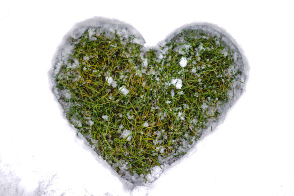 srdce na sněhu - Fotografie, Obrázek