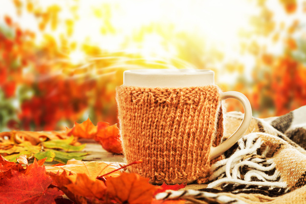 Cup of hot drink on the beautiful autumn background - Fotó, kép