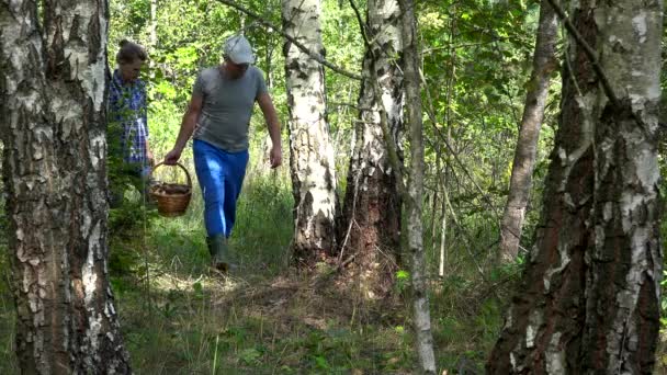 Pár férfi és a nő séta teli kosárral a gomba az erdőben - Felvétel, videó