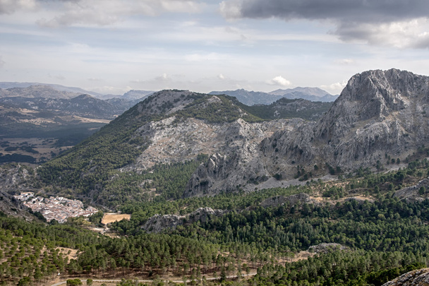 parque natural de la sierra de Grazalema en la provincia de Cdiz, Andaluca - Фото, изображение