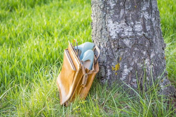 Business shoes pumps in bag wayside in nature arouse wanderlust - Photo, Image