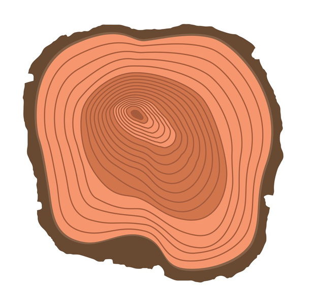 Tree slices vector isolated - Vector, Image