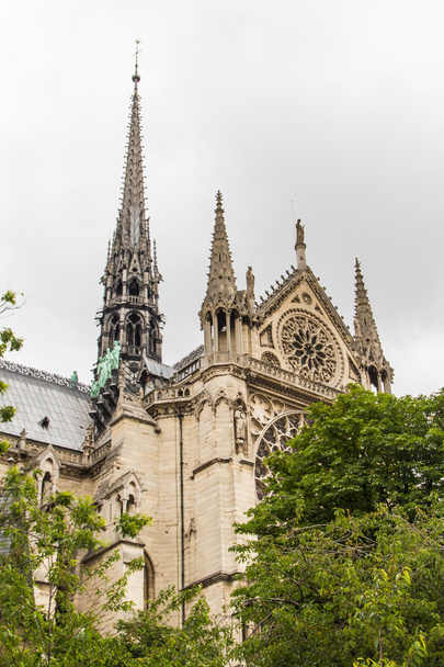 Notre Dame (Paris) - Valokuva, kuva