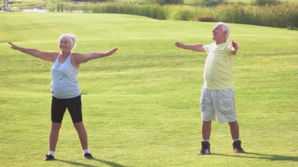 Elderly couple doing exercise. - Footage, Video