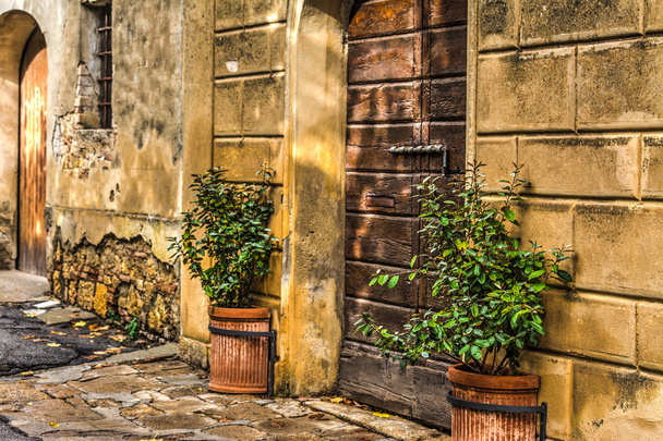 Vecchia porta in legno in Toscana
 - Foto, immagini