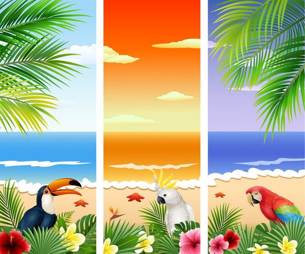 Készlet-ból három tropical beach háttér - Vektor, kép