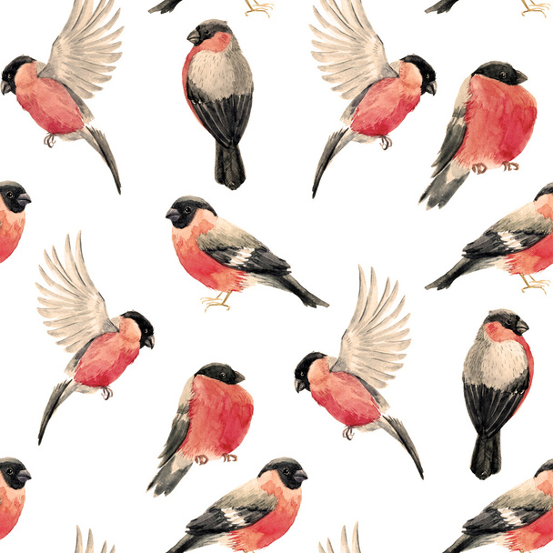 Watercolor bullfinch bird pattern - Zdjęcie, obraz