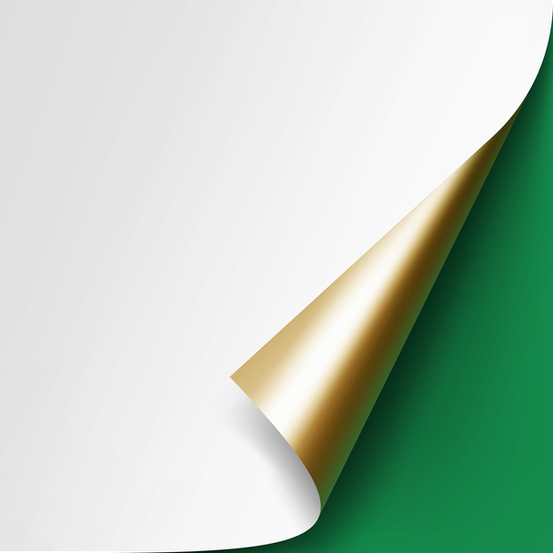 Изолированный на зеленом фоне золотой уголок белой бумаги
 - Вектор,изображение