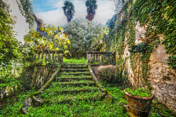 groene verlaten tuin in Toscane - Foto, afbeelding