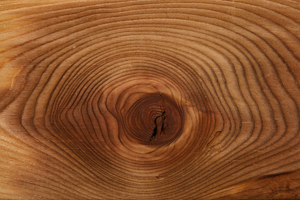 Holzstruktur. schöne Ringzeit Sägen von Holz - Foto, Bild
