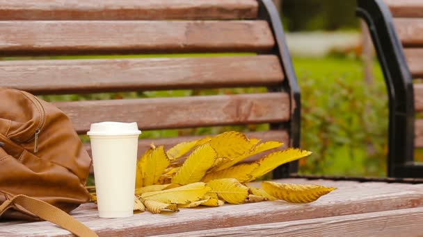 Bir fincan sıcak kahve ve sarı sonbahar yaprakları parktaki bankta. - Video, Çekim