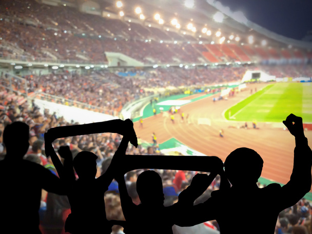 Silhouettes of football fans - Photo, Image
