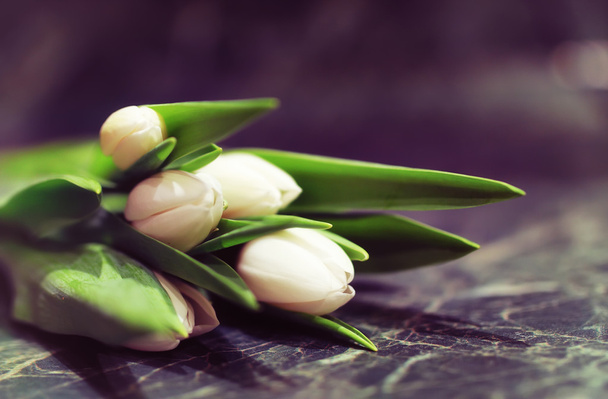 коробка подарков и белые тюльпаны
 - Фото, изображение