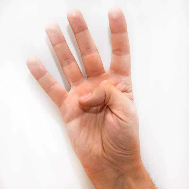 Número cuatro en el lenguaje de señas americano (ASL
)  - Foto, imagen