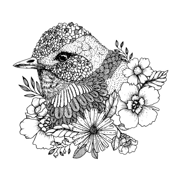 design of cute bird - Вектор,изображение