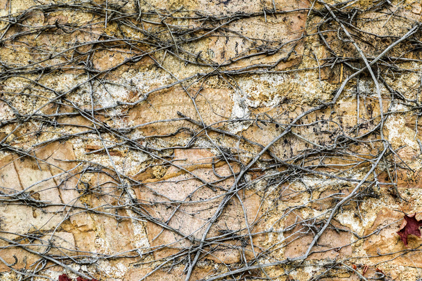 Stone mountain rock background. - Valokuva, kuva