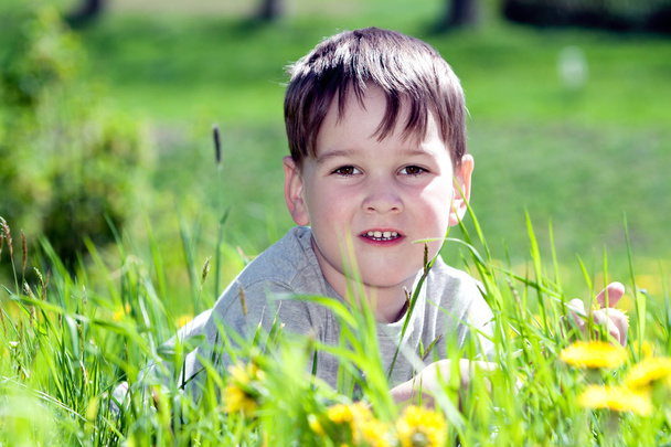 Portrait of a happy little boy in the park - Фото, изображение