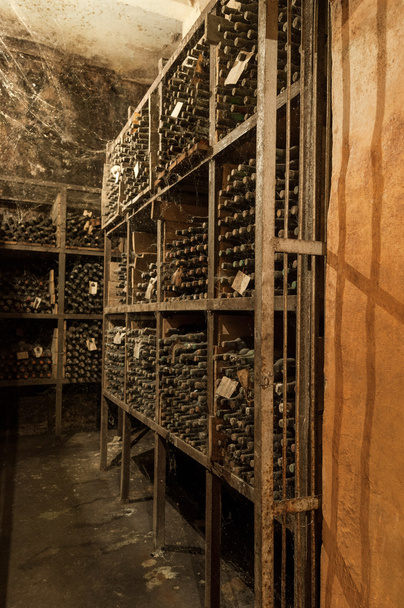 a wine cellar with bottles - Photo, Image