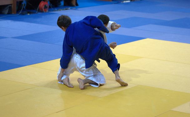 Dwa judoka na tatami. - Zdjęcie, obraz
