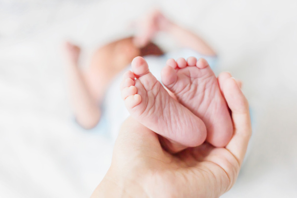 Mother holds newborn baby's bare heels. Tiny feet in woman's hand. Cozy morning at home. - 写真・画像