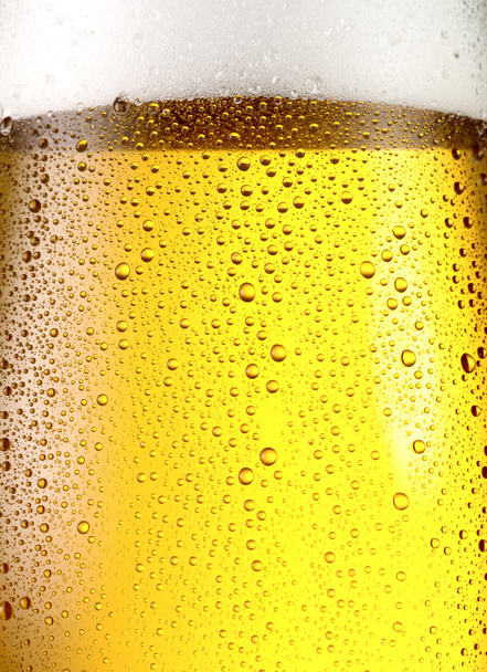 Misted glass of beer. - Photo, image