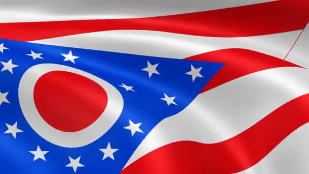 Ohioan zászló a szélben - Felvétel, videó