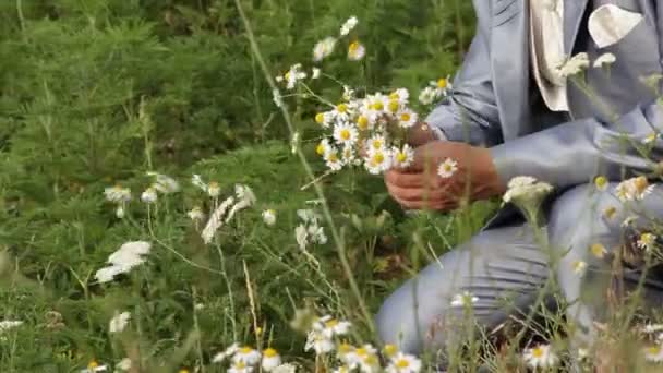 zrywanie kwiatów - Materiał filmowy, wideo