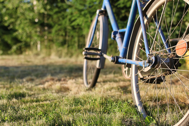 bicicleta de naturaleza rural
 - Foto, imagen