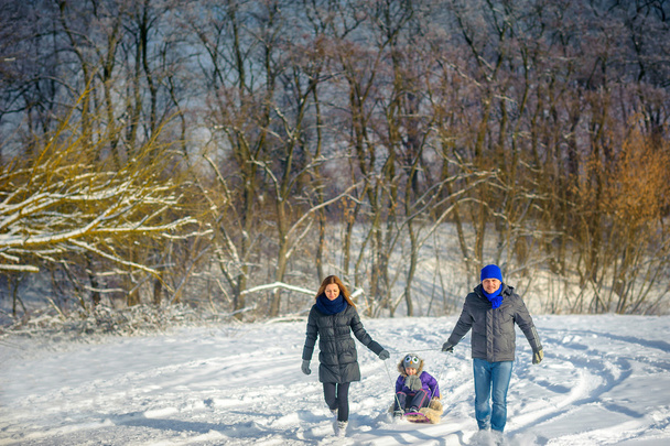 family with the sledge in the wood - Photo, Image