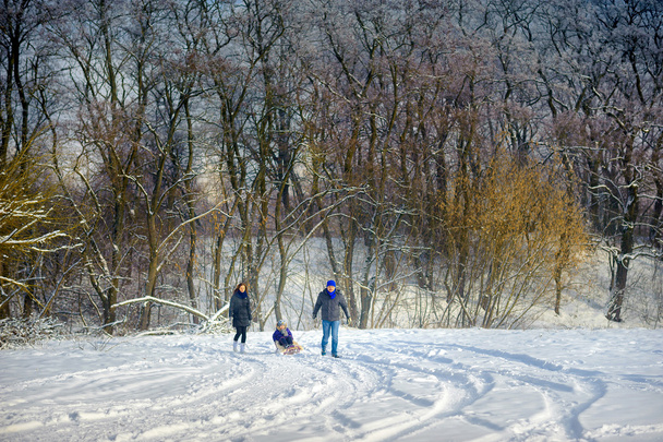 family with the sledge in the wood - Фото, изображение