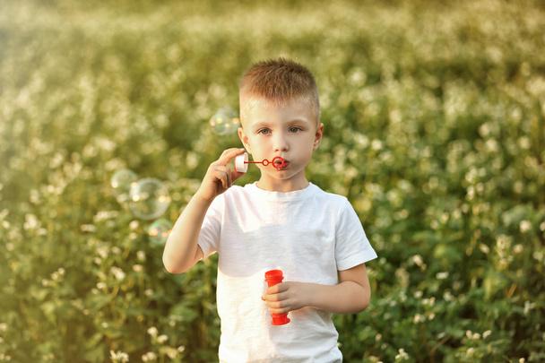 Little boy with bubbles in the field - Фото, зображення