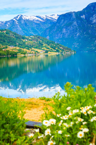 Mountains and fjord in Norway, - 写真・画像