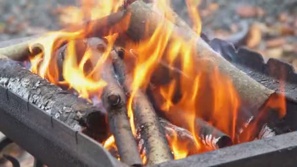 Feu brûlant au ralenti avec du bois tombant feu de bois Mouvement lent
 - Séquence, vidéo