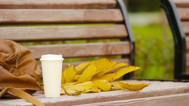Filiżanka gorącej kawy i żółte jesienne liście na ławce w parku - Materiał filmowy, wideo