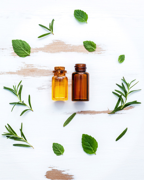 Bottle of essential oil with  fresh herbal sage, rosemary, thyme - Photo, Image
