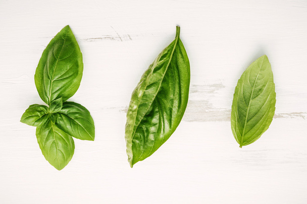 Verse zoete groene Basilicum bladeren op wit shabby houten pagina - Foto, afbeelding