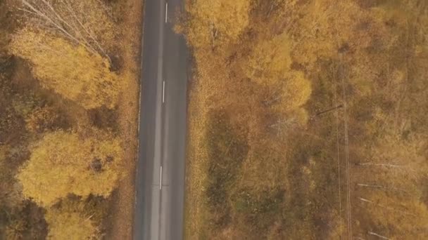 Autumn road from a height - Záběry, video