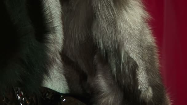 Fur coats for women - Footage, Video