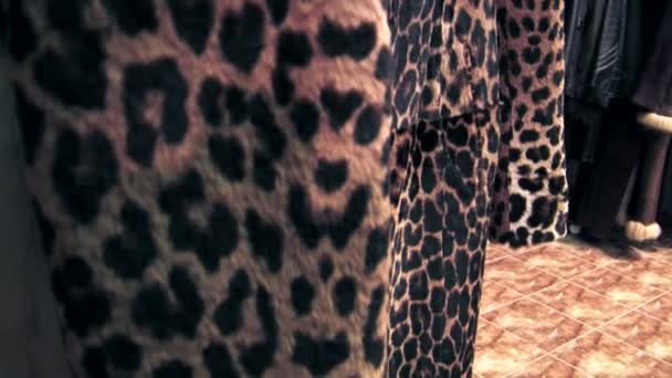 Abrigo de leopardo
 - Metraje, vídeo