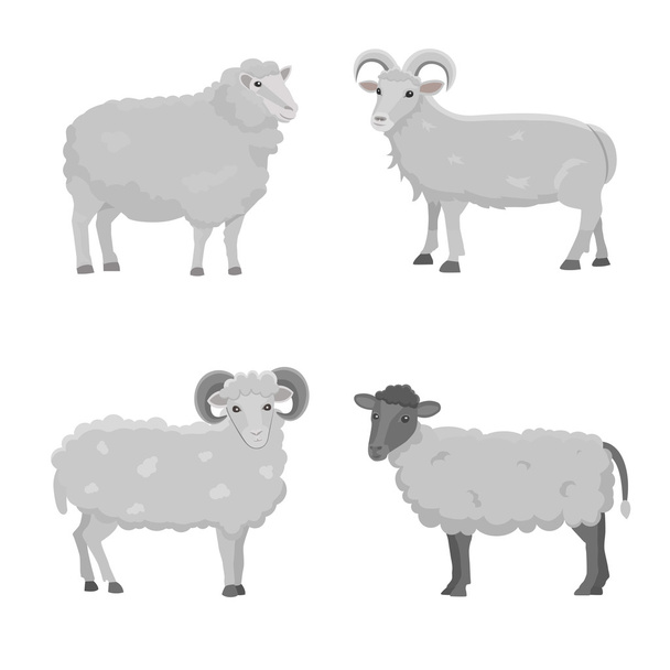 Wektor zestaw Cute owiec i Ram na białym tle retro ilustracja. Stojący sylwetka owce na biały. Fanny mleka młodych zwierząt - Wektor, obraz