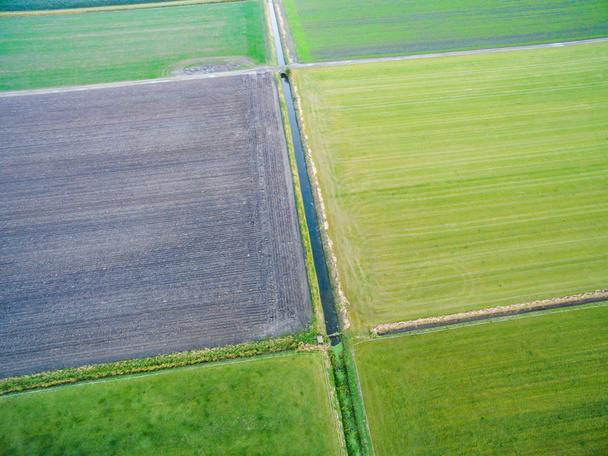 aerial view of green geometric agricultural fields in Netherlands - Zdjęcie, obraz