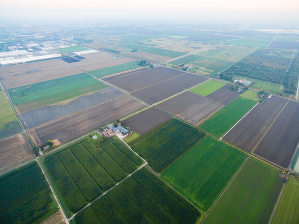 aerial view of green geometric agricultural fields in Netherlands - Photo, image