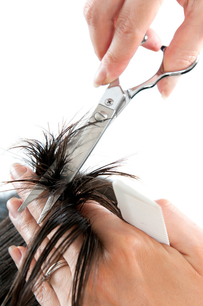 Hair cutting with scissors - 写真・画像