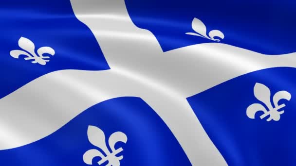 Bandiera Quebecker nel vento
 - Filmati, video