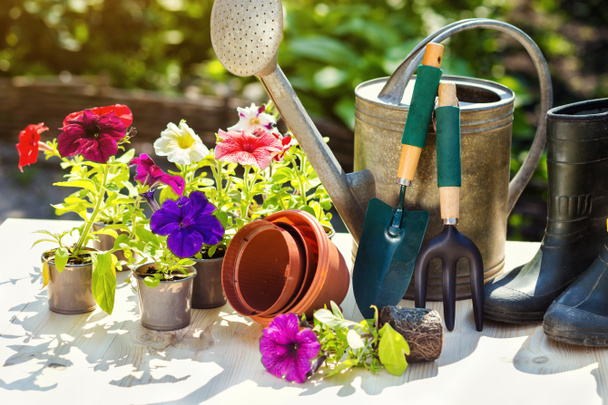Puutarhanhoito työkaluja ja kukkia terassilla puutarhassa. Vesi
 - Valokuva, kuva